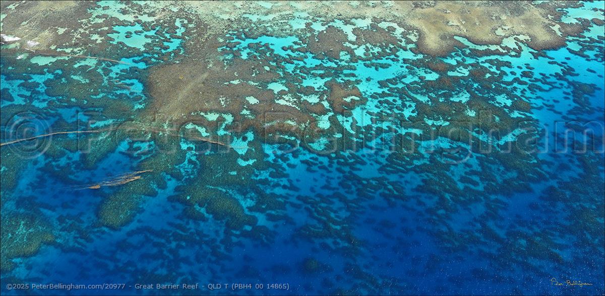 Peter Bellingham Photography Great Barrier Reef - QLD T (PBH4 00 14865)